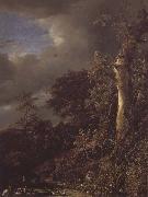 Jacob van Ruisdael Oak Tree and Dense Shrubbery at the Edge of a pond painting